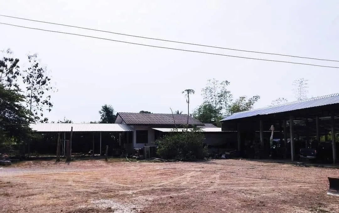 บ้านเดี่ยว ต.เม็งราย อ.พญาเม็งราย 1 ไร่ 34 ตร.ว.